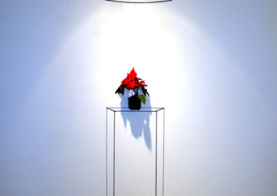 "December" shelf & lamp, made of black wool thread an nylon thread & real flower